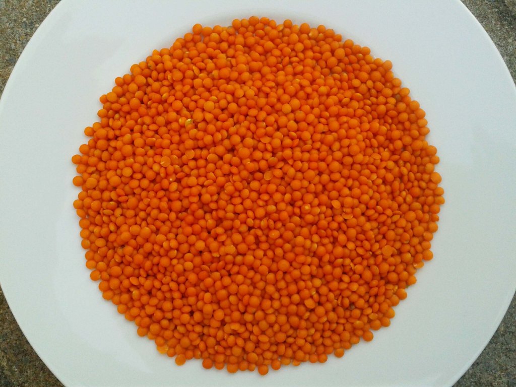 Rote Linsen unverpackt